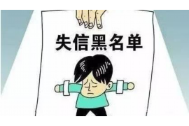 沈丘工资清欠服务